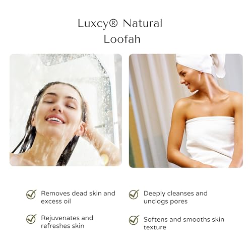Natural Loofah Exfoliating Body Scrubber, Dual-Sided Shower Loofah Sponge, Bath Shower Loofah Spong for Men and Women, Face and Body Bath Scrubber- 3 Count (1 Pack)