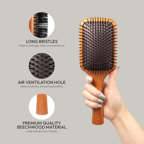 Red by Kiss Evergreen Wooden Square Paddle Hair Brush, 100% Beechwood, Long Bristles, Detangling, For All Hair Types, Sustainable, Painless Detangling, Air Ventilation Hole, Wet Dry Hair, Unisex