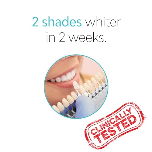 TAO Clean Daily Care Whitening Replacements Heads - White - 2 Pack