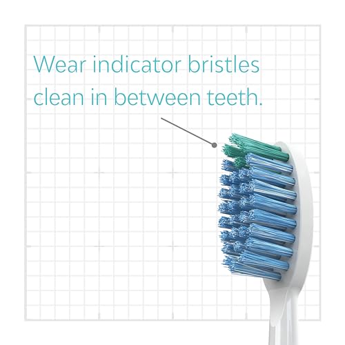 TAO Clean Daily Care Whitening Replacements Heads - White - 2 Pack