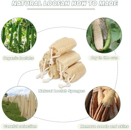 Natural Loofah Sponge Organic Loofa Set 6 Pack,Exfoliating Body Scrubber Shower Luffa Men and Women for Bath Cleaning Skin Back and Face Eco Tool