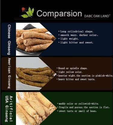 DOL Hand-Selected American Wisconsin Farmed Ginseng Root 美国威斯康辛州 长枝西洋参 花旗参 | Cultivated Wisconsin American Ginseng (Medium 4oz/Box)