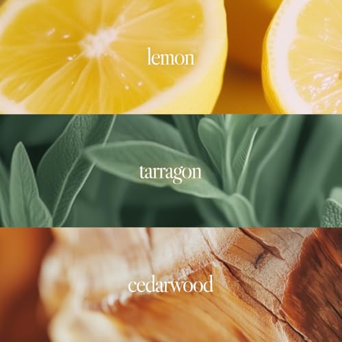 Noteworthy n,841 Poet's Dream Eau De Parfum – Lemon, Bergamot, Cardamom | Long-lasting Unisex Perfume for Women & Men (100ml)