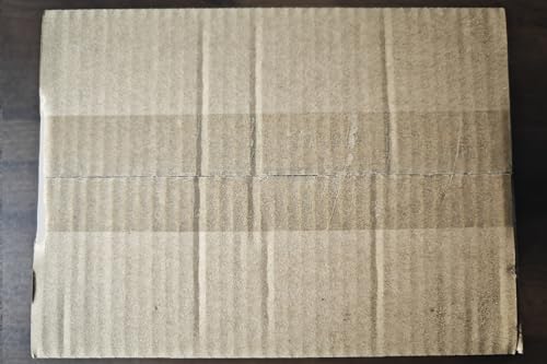 Major Dijit Acrylic Nail Kit with Nail Lamp, 0.35 oz White Clear Pink Black and More 12 Colors Acrylic Powder and Liquid Kit, Electric Nail Drill, Glitter, Nail Art Brushes,Nail Kit for Beginners