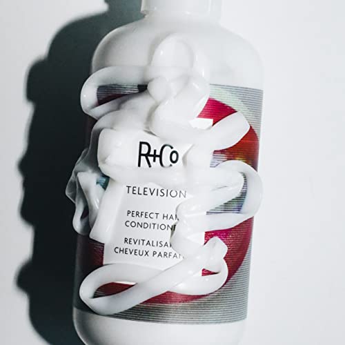 R+Co Television Perfect Hair Conditioner | Body + Shine + Smoothing for All Hair Types | Vegan + Cruelty-Free |
