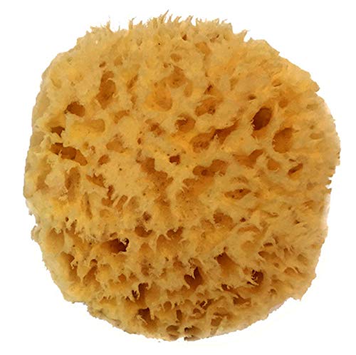 Natural Sea Wool Sponge 4-5" by Spa Destinations ® Amazing Natural Renewable Resource Creating The in Perfect Bath and Shower Experience