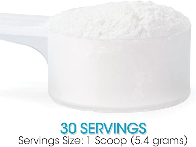 Silver Fern Gut Repair - Digestive Health Supplement Powder - L-Glutamine, Curcumin, Zinc & Ascorbic Acid (1 Tub - 30 Servings)