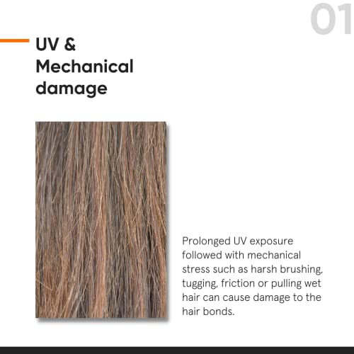 Minimalist Hair Serum for Strengthening & Repairing Damaged Hair | Patent Pending Formula | Maleic Bond Repair Complex 05% | With Amino Acids, Argan Oil & Squalane | For Women & Men | 1.7 Fl Oz/ 50 ml