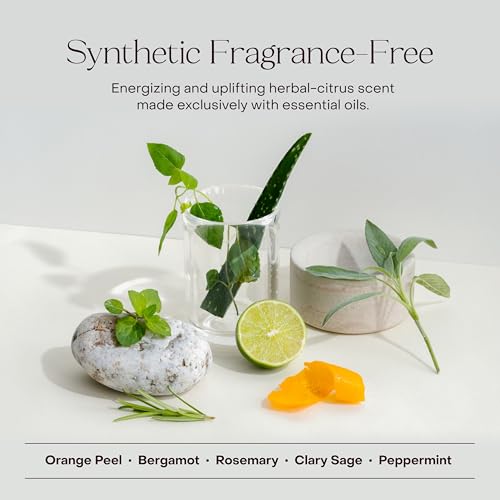 The Shampoo Concentrate, All Hair Types, Restore Moisture, Bond Repair, Plant-based, Clean Ingredients, Aloe Vera, Vegetable Glycerin, Sulfate-Free, 3.4 fl oz