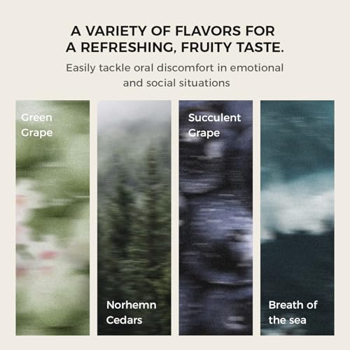 Smart Electric Oral Spray - Mouth Spray Fresh Breath, Cool Mint Breath Spray, Mouth Freshener Spray, Rechargeable, Alcohol Free, With 4 Pods (Classic+4 Bombs)