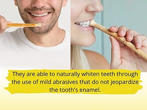 Natural Traditional Miswak (sewak) Peelu Chewing Stick Toothbrush for Whiter Teeth (15)
