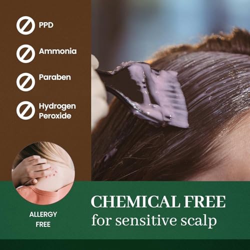 Dongsung Herb Speedy Color Cream PPD-Free Ammonia-Free Vegan Gray Coverage Hair Dye with Sun Protection, Odorless, Gentle for Sensitive Scalp, No Eye or Scalp Irritation (Natural Black)