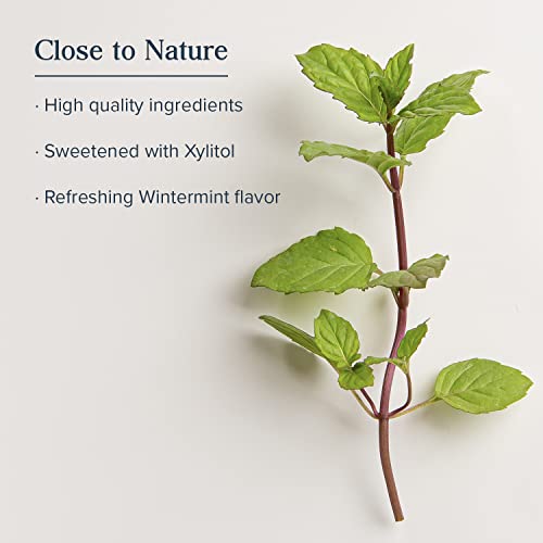 Heritage Store Hydrogen Peroxide Mouthwash, Daily Oral Care, Fresh Mint Mouth Wash - Gentle Bubbling Action for Clean Healthy Gums and a Fresh Mouth, Sweetened w/Xylitol, Cool Wintermint Flavor, 16oz