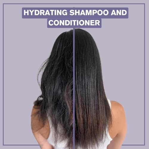 Alcôve - Hydrating Shampoo & Conditioner Duo - All Hair Types - Sulfate-Free - Moisturizing & Nourishing - With Evening Primrose Oil - Mango Extract - Argan Oil - Anti-Frizz - Color-Safe - 10oz