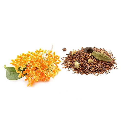 Derek Lam 10 Crosby | Blackout | Eau De Parfum | Warm Spicy and Floral Scent | Spray Perfume for Women | 5.9 Oz, white