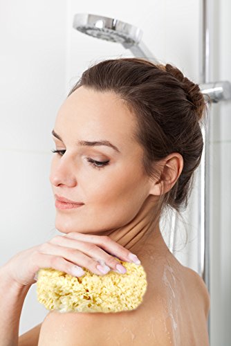 Real Natural Sea Sponges Multipack - 5pc Spa Gift Set in Premium Bag, Kind on Skin, for Bath Shower Facial Cleansing, Pamper Moms Brides Girlfriends & Teens (5 Pack Standard Packaging)