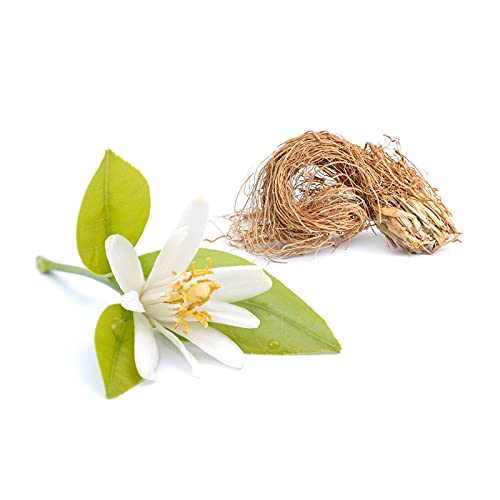 Derek Lam 10 Crosby Rain Day, Eau De Parfum, Woody and Aromatic Scent, Spray Perfume for Women, 1.7 Oz, I0088632