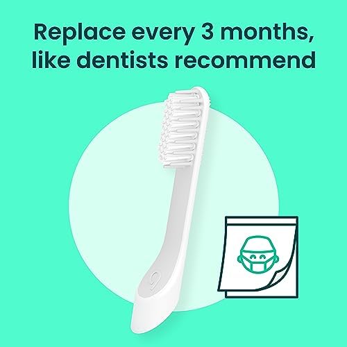 quip Sonic Toothbrush Replacement Heads for Adults - 3 Pack - Verified quip Standard Brush Head Refills for Electric Toothbrushes - Soft Bristles, Compact & Flexible - Last 3 Months Each