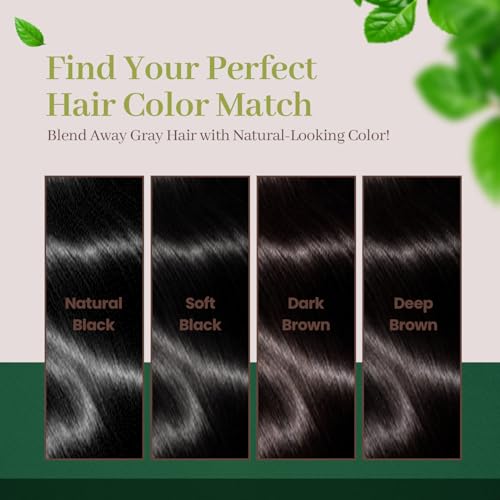 Dongsung Herb Speedy Color Cream PPD-Free Ammonia-Free Vegan Gray Coverage Hair Dye with Sun Protection, Odorless, Gentle for Sensitive Scalp, No Eye or Scalp Irritation (Natural Black)
