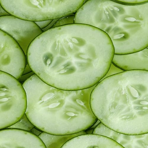 RALPH LAUREN The Big Pony Collection