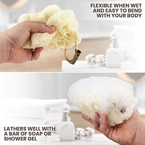 Almooni Mini Natural Loofah Sponge - Real Egyptian Shower Exfoliating Loofah - Small Loofah Scrubber for The Perfect Grip - 3 Count(1 Pack)