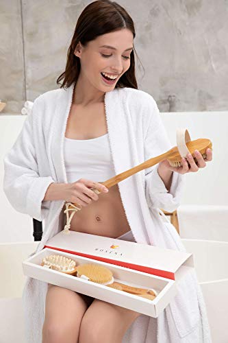 Dry Brushing Body Brush Set – Natural Bristle Spa Exfoliator Kit with Face Cleansing Brush, Long Dry Brushing Body Brush for Lymphatic Drainage & Massaging Cellulite Brush for Smooth, Radiant Skin