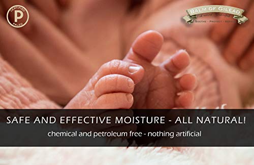 BALM OF GILEAD Foot Cream with Tea Tree and Eucalyptus – Intensive Moisturizing Cream for Dry, Cracked Heels and Feet – Refreshing Body and Skin Care Balm