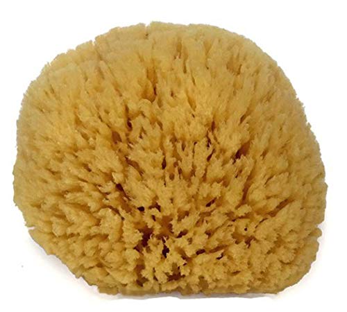 Natural Sea Sponge 6-7" by Spa Destinations Creating The at-Home Spa Experience