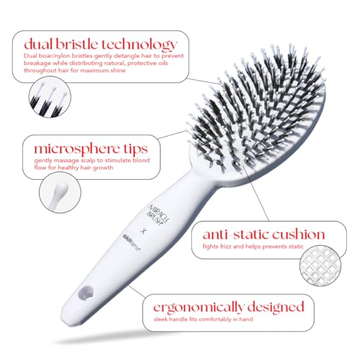 Hairtamin Hair Brush for All Hair Types | Paddle Brush for Blow Drying, Detangling, and Straightening | Anti-Static, Lightweight, and Ergonomic Design | Hair Brush for Men, Women, Kids, and Pets