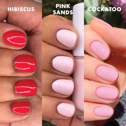 Olive & June Best Sellers Nail Polish Set | Includes 3 Long-Lasting Shades (Cockatoo, Pink Sands, Hibiscus) + Super Glossy Top Coat | Vegan, Cruelty-Free | Salon-Quality Results at Home