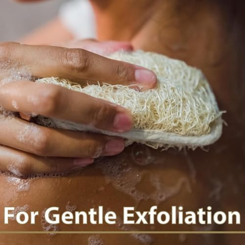 Dr.Teal's 5 Ultra Hydrating Bubble Bath Bombs in Soothing Lavender with Essential Oils for Women and Men, 1 Exfoliating Pad