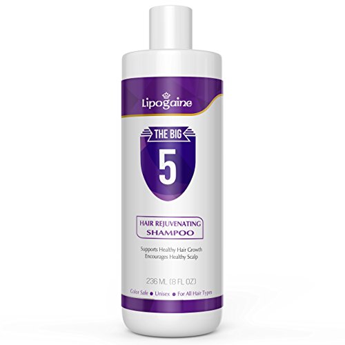 Big 5 Hair Stimulating Shampoo for Hair Thinning & Breakage, for All Hair Types, Men and Women, Infused With Biotin, Caffeine, Argan Oil, Castor oil and Saw Palmetto (Purple)