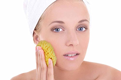 Real Natural Sea Sponges Multipack - 5pc Spa Gift Set in Premium Bag, Kind on Skin, for Bath Shower Facial Cleansing, Pamper Moms Brides Girlfriends & Teens (5 Pack Standard Packaging)