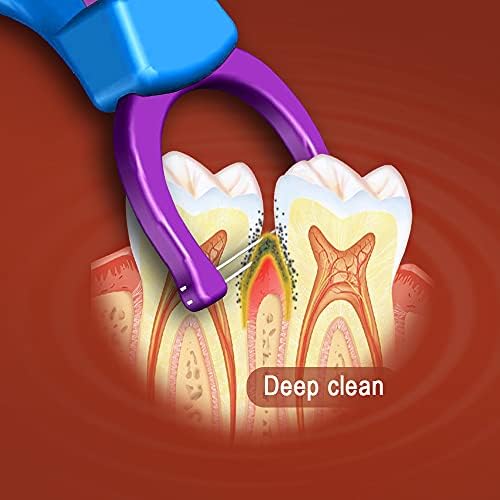 T.Smile Evolutionary Clean Dental Flossers, Kit of Refills Plus Long Handle (3 Handles + 100 Refills)