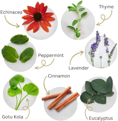 Dental Herb Company Tooth & Gums Tonic Oral Rinse – Natural Professional Strength Mouthwash with Essential Oils & Herbs for Gum Health, Bad Breath & Gum Irritation – Alcohol-Free, 18 oz. (2 Bottles)