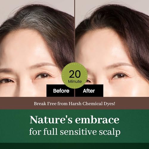 DONGSUNG Herb Speedy Color Cream (Dark Brown, 1 Pack), PPD-Free Ammonia-Free Vegan Hair Dye with Sun Protection, Odorless, Gentle for Sensitive Scalp, No Eye or Scalp Irritation