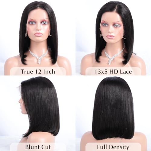 Flady 12 inch Straight Bob Wig Human Hair 13x4 HD Frontal Lace Wig Short Bob Wigs for Women Glueless Bob Lace Front Wigs Human Hair Pre Plucked 150% Density Natural Black Color
