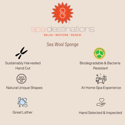 Natural Sea Wool Sponge 4-5" by Spa Destinations ® Amazing Natural Renewable Resource Creating The in Perfect Bath and Shower Experience