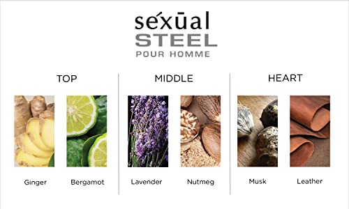 Michel Germain Sexual Steel Pour Homme Eau de Toilette Spray, Top Notes of Ginger, Bergamot, Rhubarb Leaves, Charismatic & Intense Gift for Him