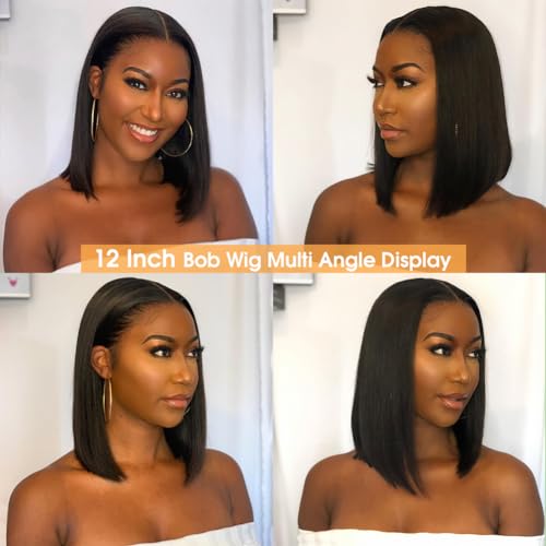 Flady 12 inch Straight Bob Wig Human Hair 13x4 HD Frontal Lace Wig Short Bob Wigs for Women Glueless Bob Lace Front Wigs Human Hair Pre Plucked 150% Density Natural Black Color