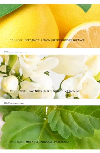 Men's Perfume, 55ml 1.86 fl oz, Blue Glass Bottle Eau de Parfum