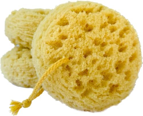 Michelle's Melting Pot Exfoliating Foam Sea Sponge, Natural Feel, Shower Loofah, Bath Sponge, Rich Lather (Set of 3)