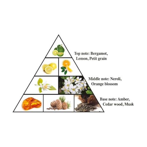 Portfolio Neroli Canvas for Unisex - Arabian Perfume for Women & Men - Long Lasting Woody Fragrance with Notes of Bergamot, Neroli, Musk, Amber, Cedar - Arabic Cologne - 2.5 oz EDP Spray