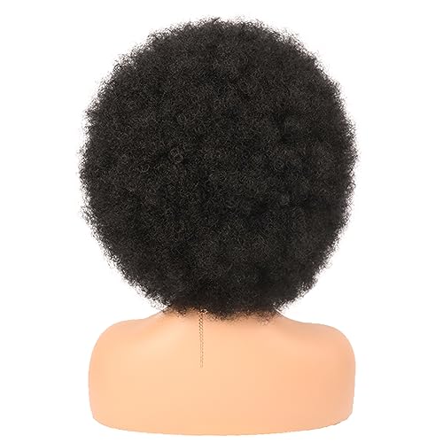 G&T Wig 70's Afro Curly Wigs for Black Women Glueless Wear and Soft Black Afro Wigs Large Bouncy and Soft Natural Looking Full Wigs for Daily Party Cosplay Costume Halloweeen(1B)
