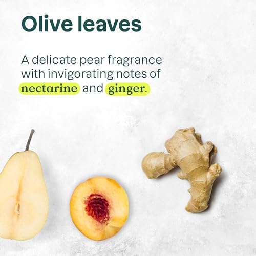 ATTITUDE Hand Cream, EWG Verified, Plant and Mineral-Based, Vegan Personal Care Products, Olive Leaves, 2.5 Fl Oz