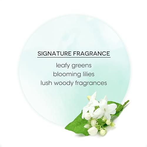 Bain de Terre Stay N' Shape Flexible Shaping Spray, Medium Hold & Shine, Heat & Humidity Protection with Argan & Monoi Oils, Paraben-Free, Color-Safe, Vegan, 9.1 Fl Oz