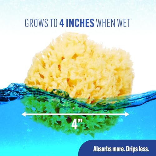Baby Buddy Natural Wool Sea Sponge, Newborn Bath Time Essential, Ultra Soft for Delicate Skin, Hypoallergenic and Biodegradable, 1 Pack
