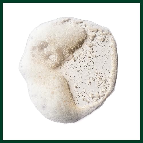 Aveda Pure Abundance Volumizing Shampoo | Adds Volume to Fine Hair | with Kaolin Clay