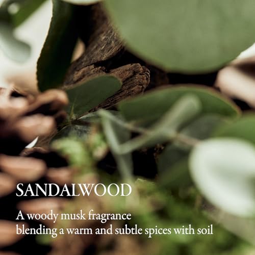 Solid Perfume - Sandalwood ScentㅣLong Lasting Travel Size Gel Fragrance, Alcohol-Free, Vegan & Sustainable, Cashmere-like Finish, Cologneㅣ1.01 fl.oz.