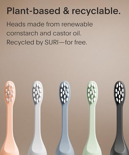 Recyclable Plant-Based, Electric Toothbrush Heads - Built-in Tongue Scraper, Long Lasting Replacement Heads | Compatible Only Sonic Electric Toothbrush - Winter Fern, Pack of 3